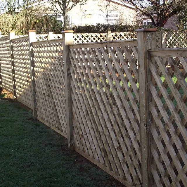 Trellis fencing