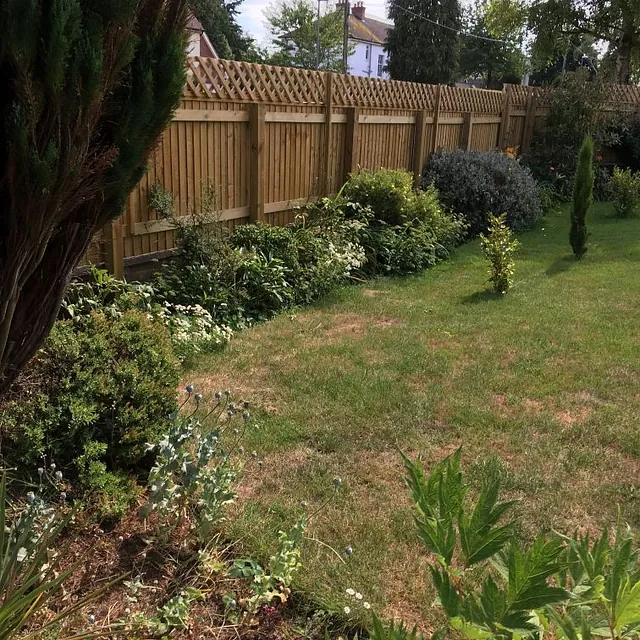 Fence with trellis