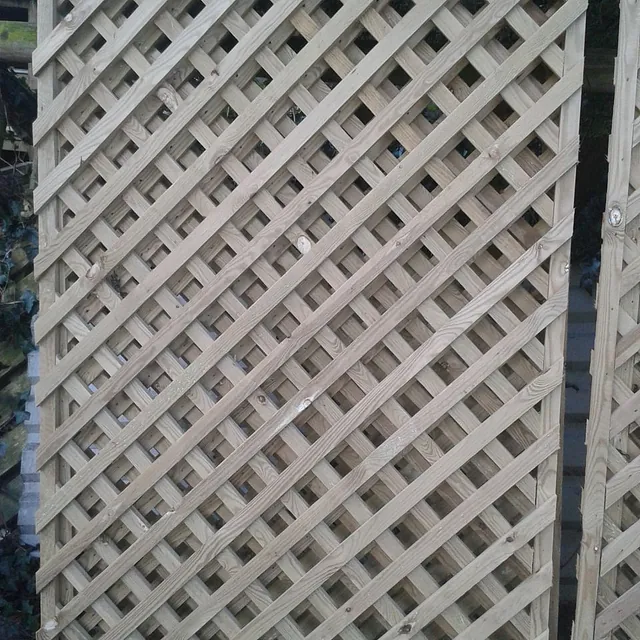 Trellis fencing